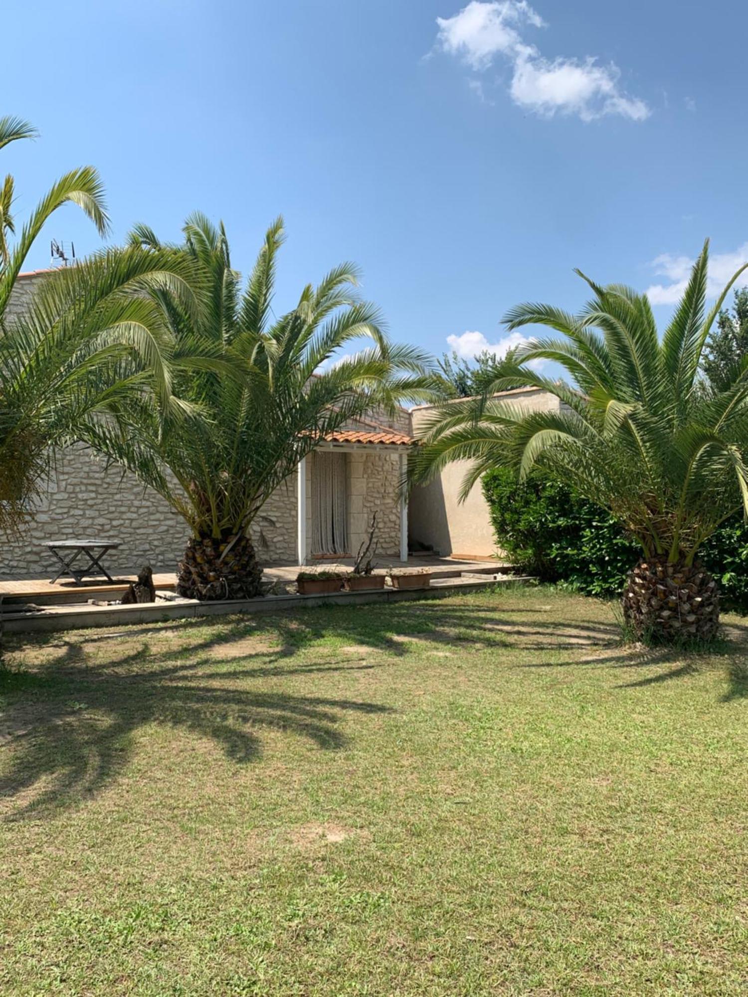Le Mas Des Mourguettes Saintes-Maries-de-la-Mer Exterior photo